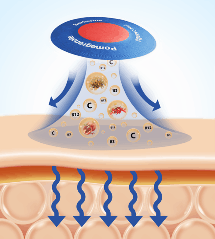 Purisaki Berberine Patches official website